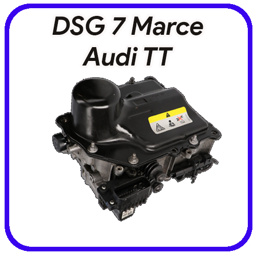 Meccatronica DSG 7 marce Audi TT Revisione e servizi